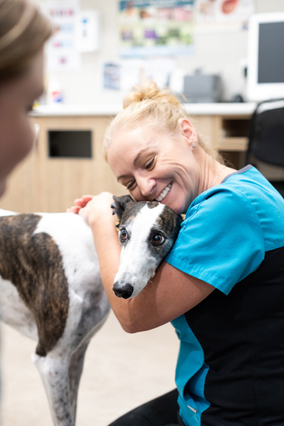 Dr Vanessa cuddling a greyhound in the clinic