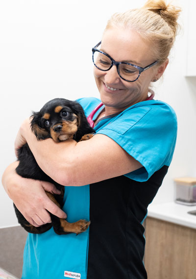 Vet Vanessa cuddling a puppy patient at Happy Paws Vet