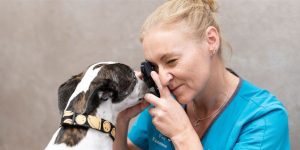 Vet Vanessa checking a dog for signs of heat stress